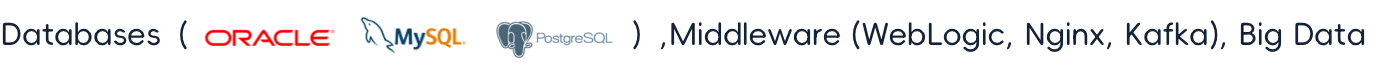Databases including Oracle, MySQL and PostgreSQL, middleware including WebLogic, Nginx and Kafka, and big data