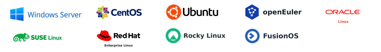 Windows Server, CentOS, Ubuntu, openEuler, Oracle Linux, SUSE Linux, Red Hat Enterprise Linux, Rocky Linux, FusionOS